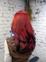 暹羅貓髮色 黑紅撞色❤️🖤