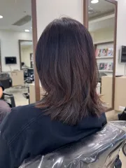 韓系外翻中高層次