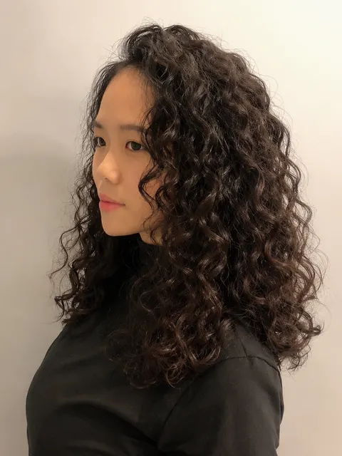 羊毛卷作品參考，設計師 袁袁
