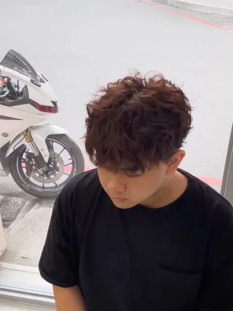 萊斯利卷作品參考，設計師 Andy