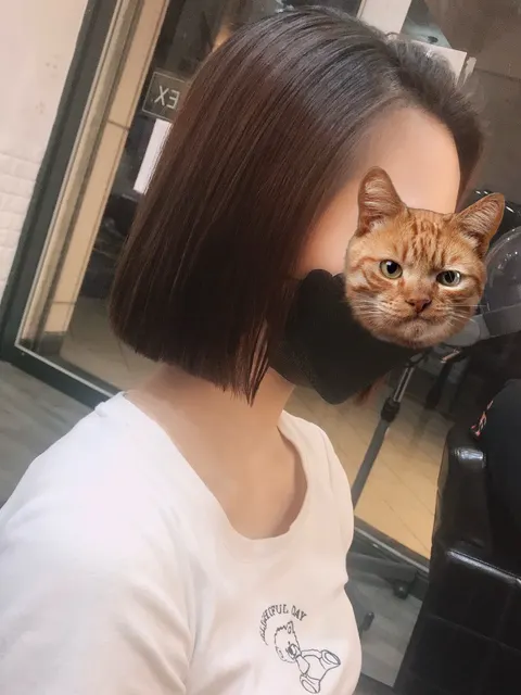 韓系風格作品參考，設計師 Eka💚🩵 💗🧡💛