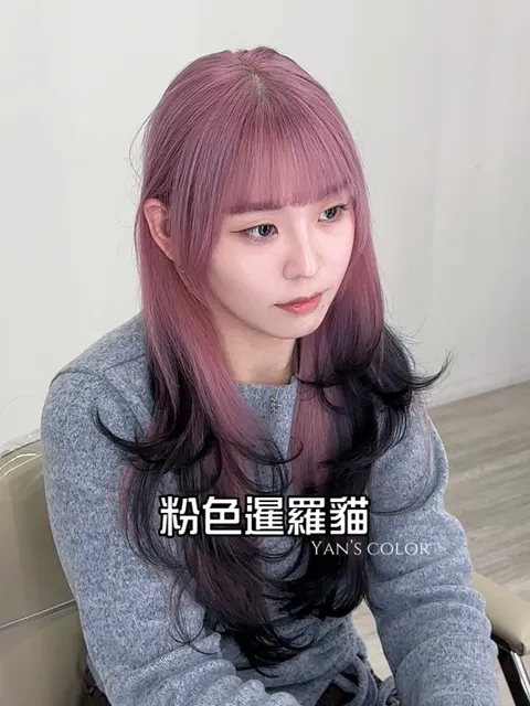 2026還在火的暹羅貓挑染作品參考，設計師 彥