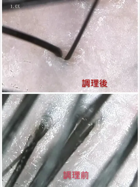 頭皮養護作品參考，設計師 Wawa✂️歸所HOME BASE