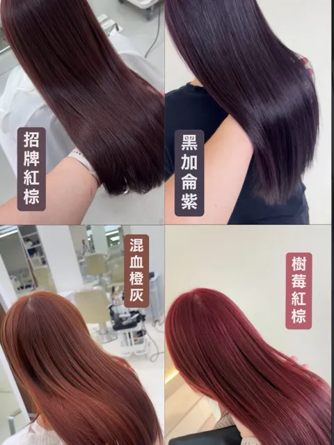 免漂髮色 第 4 張作品照