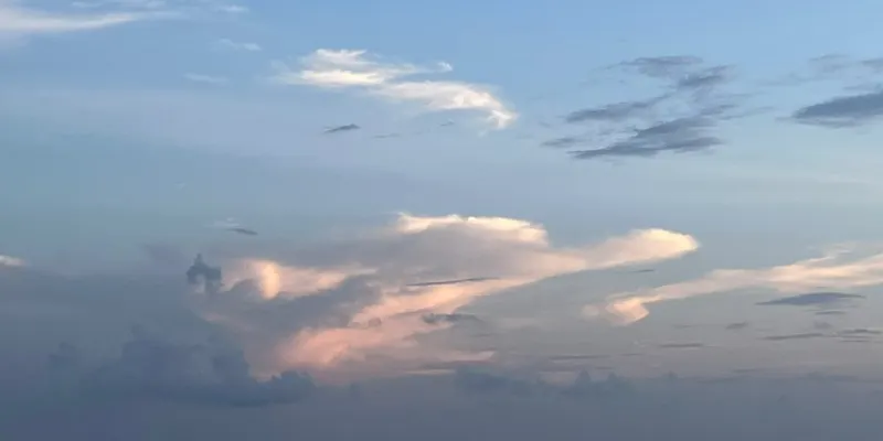 store-preview store-v11e7m9l9s